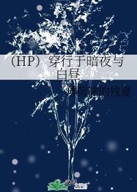 （HP）穿行于暗夜与白昼