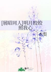 [展昭同人]明月皎皎照我心